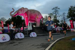 BIB: 
                            <button type="button" onclick="openModal(26529476)" class="btn btn-primary btn-sm float-right btn-popup" data-toggle="modal" data-target=".modal-high-quality">
                        <i class="fas fa-shopping-cart"></i> Add to Cart
                    </button>
                                            <button type="button" onclick="isThisMe(26529476, true)" class="btn btn-success btn-sm float-right btn-popup btn-isme hidden" data-toggle="tooltip" data-placement="bottom" title="นี่คือรูปของคุณใช่ไหม คลิกที่นี่เพื่อเอาเข้าอัลบั้ม">
                        <i class="fas fa-plus"></i> Add to album
                    </button>
                    <button type="button" onclick="isThisMe(26529476, false)" class="btn btn-warning btn-sm float-right btn-popup btn-isnotme hidden">
                        <i class="fas fa-ban"></i> Remove from album
                    </button>